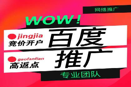 高效SEM托管服务：成功案例深度解析